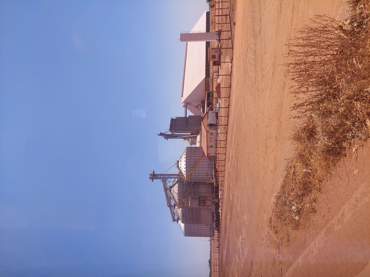 campo2_Matopiba